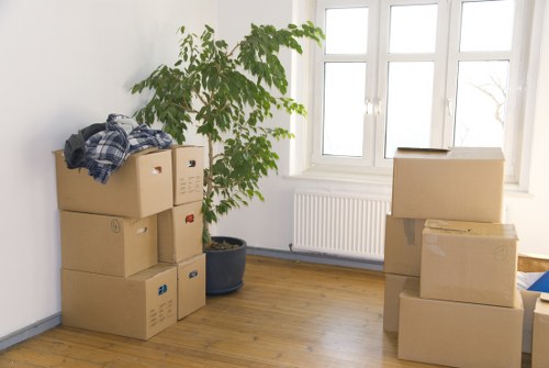 Supervisor assessing a removals issue during investigation
